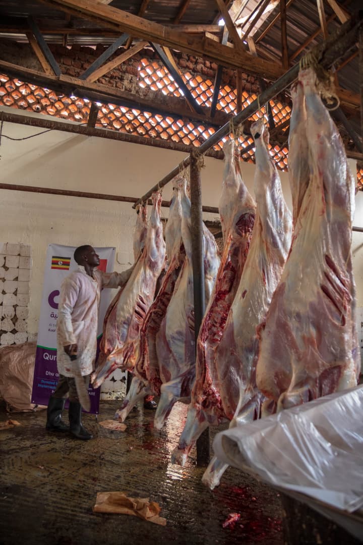 Qurbani Distribution